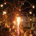 arbre de feu