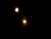 pegaze video1